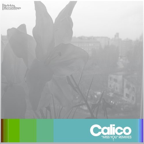 Calico – Miss You (DJ Dali 216 remix) [Selekta Recordings (2014)]